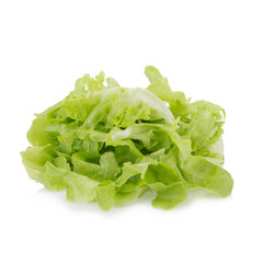 Chopped oakleaf lettuce on White Background.