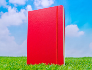 Notebook on spring green grass