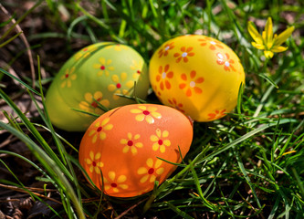 Easter eggs in grass