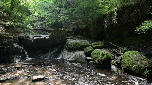 wild stream through a forest. Ehrbach canyon at mosel valley. (Brodenbach, germany) 
