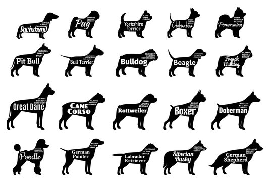 Vector dog silhouettes collection isolated on white. Dogs breeds