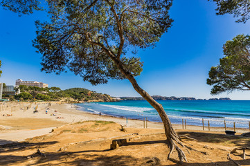 Spain Balearic Islands Beach Majorca Peguera