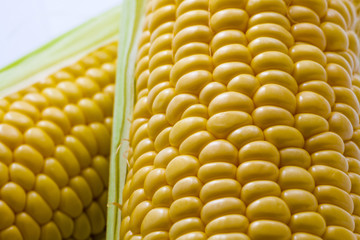 トウモロコシ