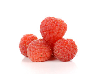 Rasberry on white background.