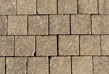 Gray pavement texture.