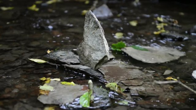 rocks and leaves in wild stream through a forest. Ehrbach canyon at mosel valley. (Brodenbach, germany)