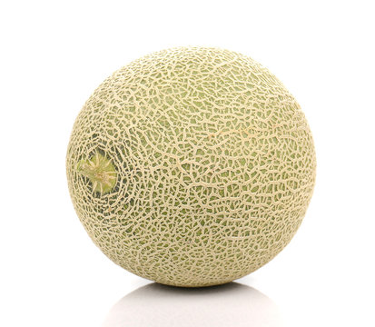 Big Melon on white background.