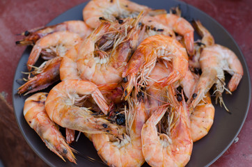 various kind of raw shrimps