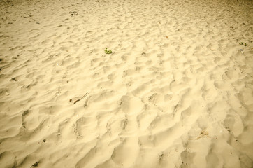 sand pattern of a beach in the summer