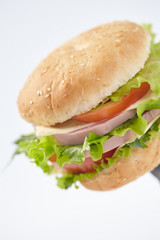sandwich isolated on white