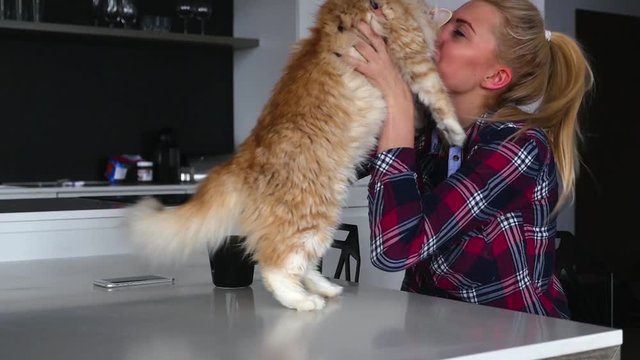 Girl is playing with her cat in the kichen. Cat hooked his clow on her blouse. 
