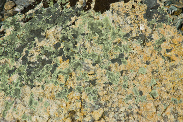 background texture of stone surface with moss