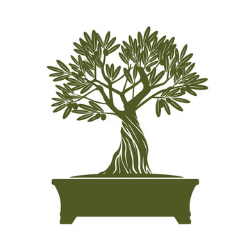 Green Vector Olive Tree. Illustration of Bonsai.