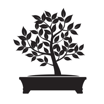 Green Vector Olive Tree. Illustration of Bonsai.