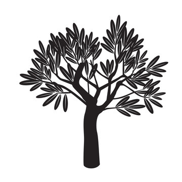Vector Black Olive Tree.