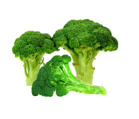 Fresh organic Broccoli standing up and lying down