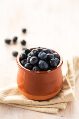 Blueberries in ceramic pot