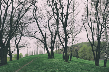 Fototapeta na wymiar Komenskeho sady park, Ostrava. Melancholic scenery of nature - bare trees, undulated landscape