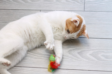 Red and white cat playing with toy mouse