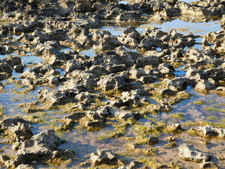 rocks by the sea