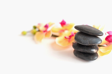 four stones for Spa treatments and Orchid flowers