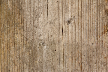 Fototapeta premium Wood texture