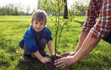little boy helping his father to plant the tree while working together in the garden. sunday....