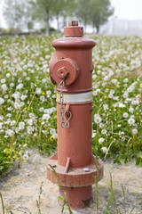 Fototapeta na wymiar red fire hydrant isolated in a field