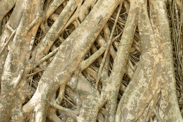 background texture
