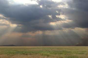 Fototapeta na wymiar Picturesque view on Serengeti National Park