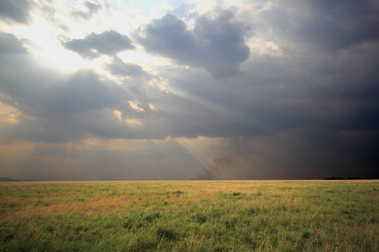 Cloudy sky over savannah, Serengeti Tanzania