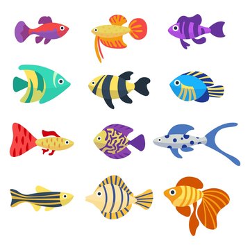 Set of aquarium fish. Cute cartoon colorful different fish. Aquarium underwater life. Flat vector icons. Isolated on white background