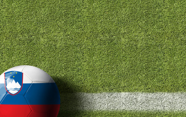Slovenia Ball in a Soccer Field
