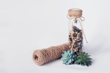 Succulents and twine, decor, plants on a white background