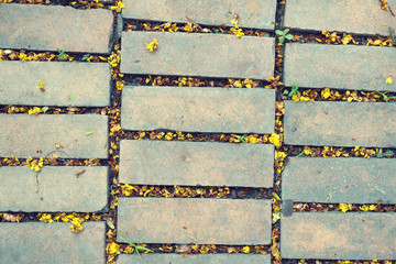 walk way brick in the garden