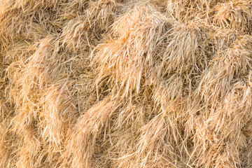 Roughly chopped wheat straw as a texture