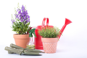 Garden tools equipment for essentials gardener use.