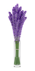purple lupine flowers in glass vase isolated on white background