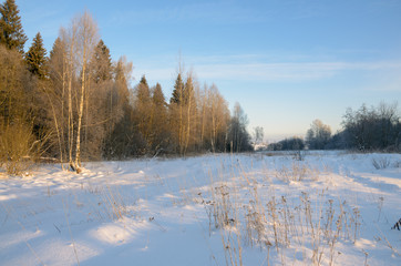 Winter scene