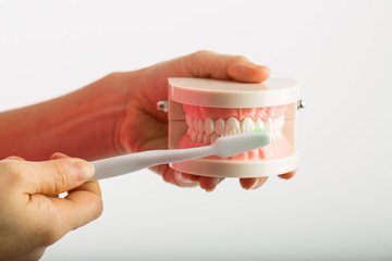 Fototapeta na wymiar Dental implant model