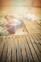 Boat moored in the harbor