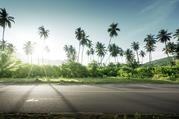 empty road in jungle of Seychelles islands