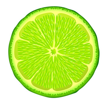Slice of Lime isolated on white
