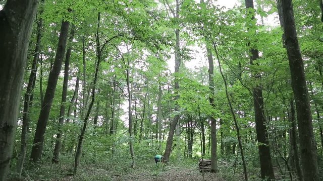 man fells a tree a general plan