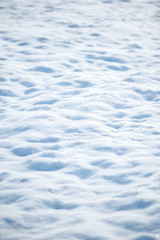 Obraz premium Winter scenery