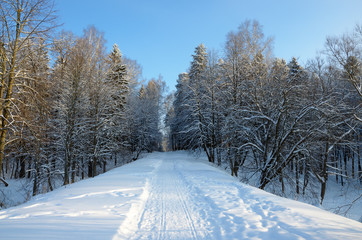 Obraz premium Winter road