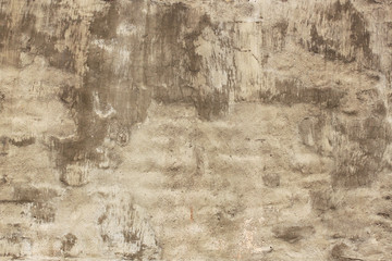 Obraz premium Brown wall palsster