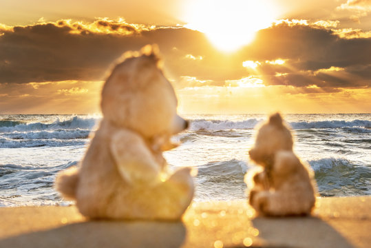 Teddy bears sitting on the beautiful beach with love. Concept