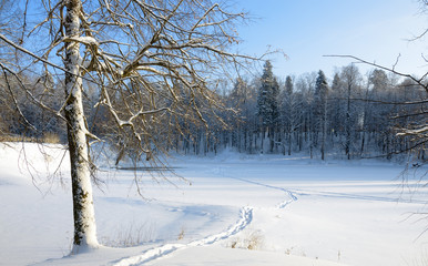 Winter scene