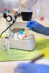 Woman in a laboratory working with a microscope, selective focus